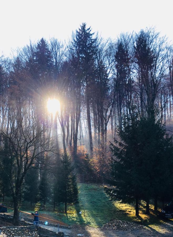 Soho Lodge Rasnov エクステリア 写真