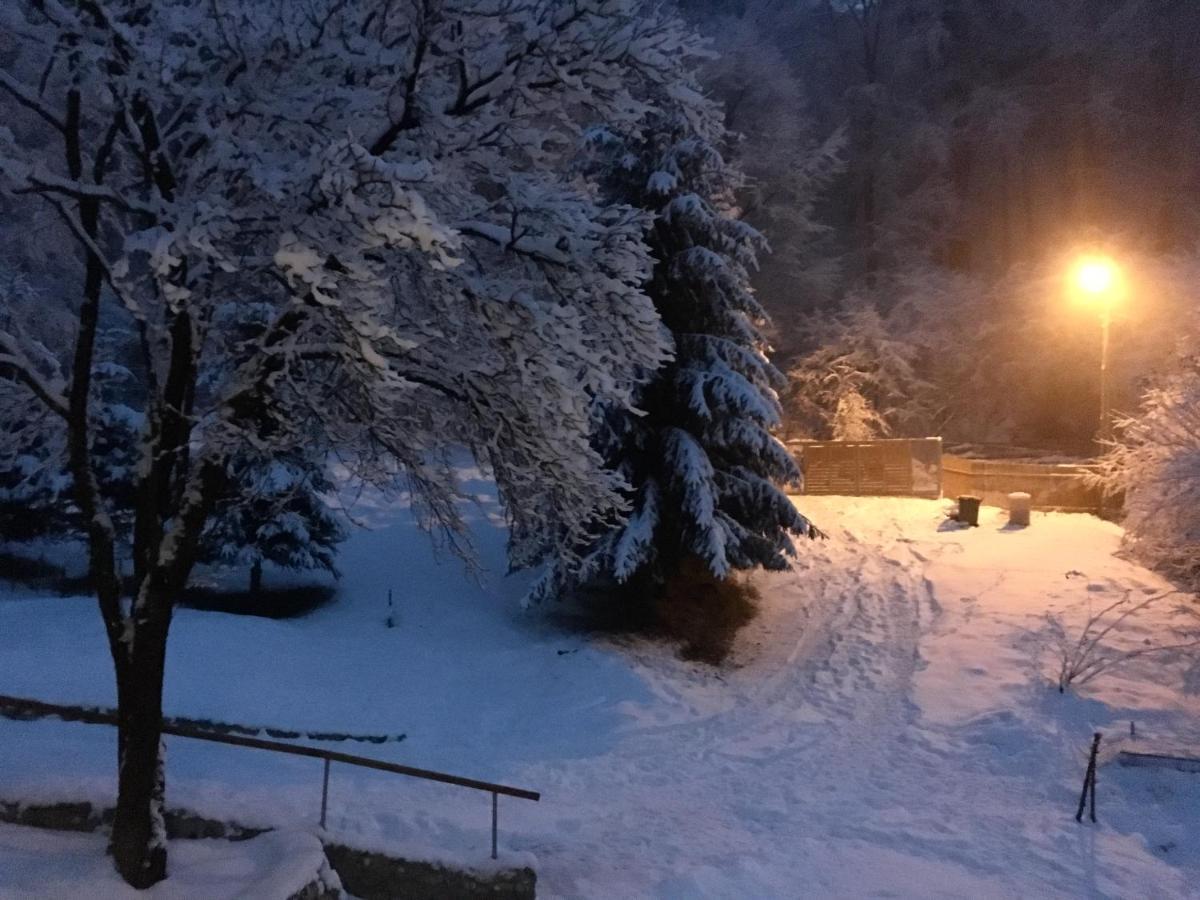 Soho Lodge Rasnov エクステリア 写真