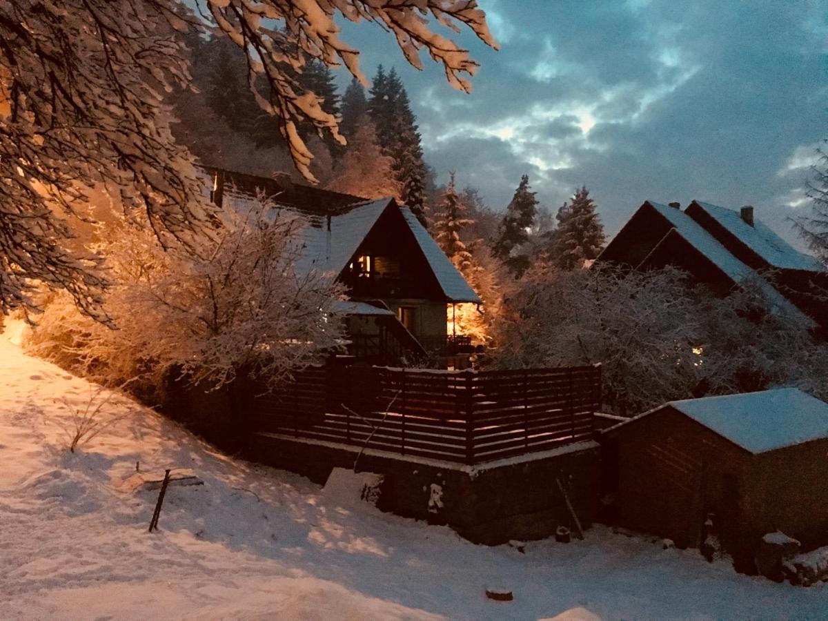 Soho Lodge Rasnov エクステリア 写真