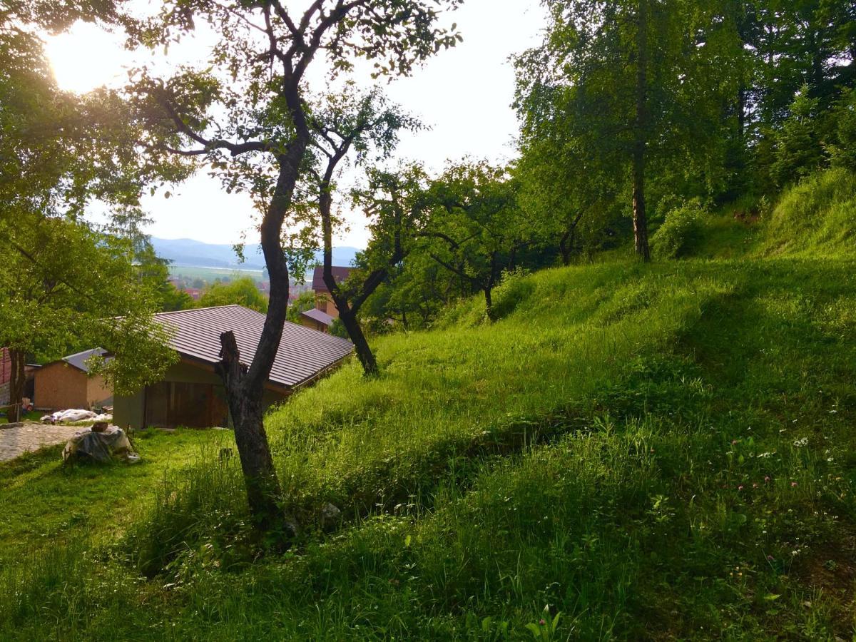 Soho Lodge Rasnov エクステリア 写真