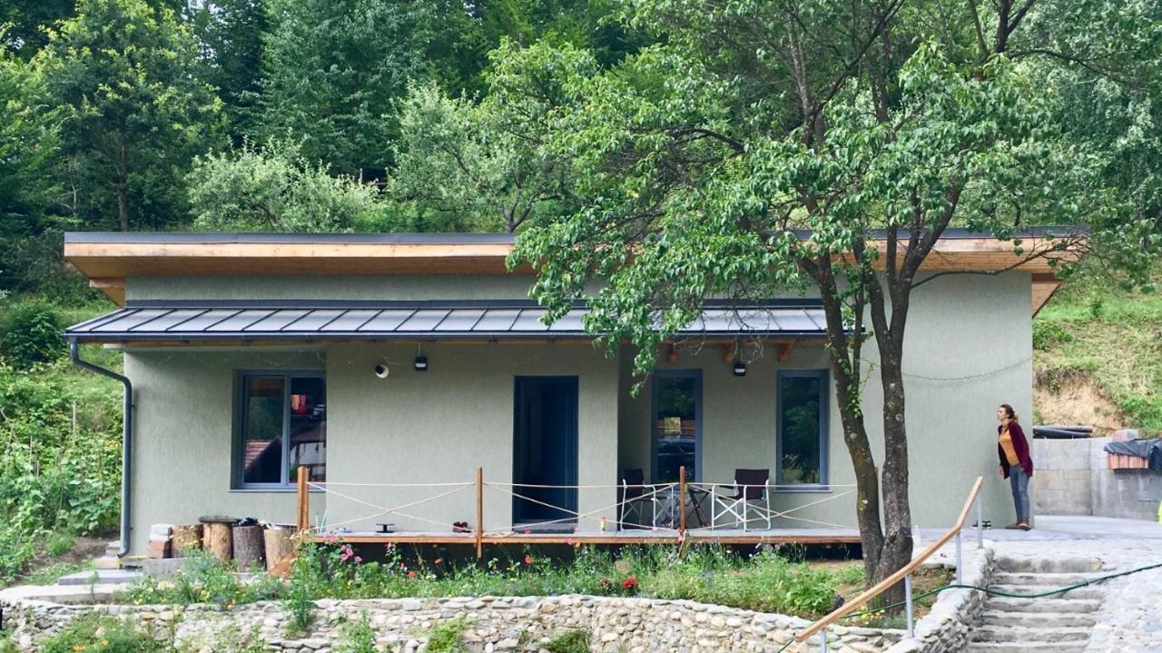 Soho Lodge Rasnov エクステリア 写真