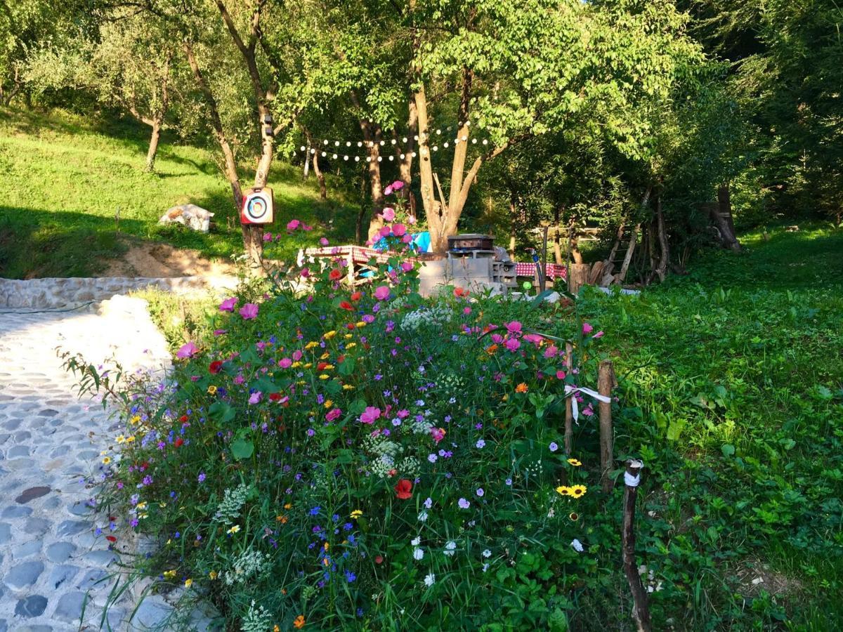 Soho Lodge Rasnov エクステリア 写真
