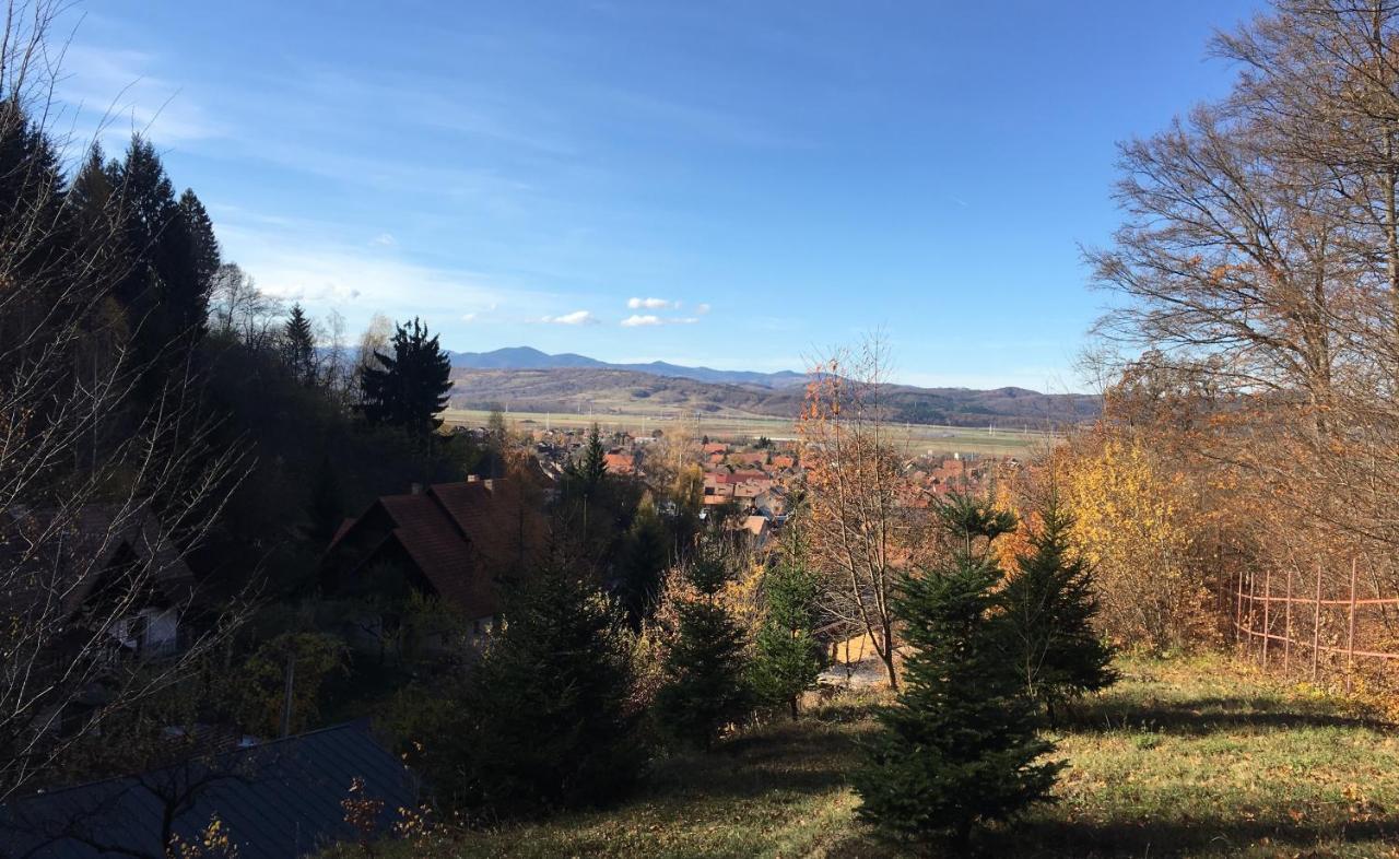 Soho Lodge Rasnov エクステリア 写真