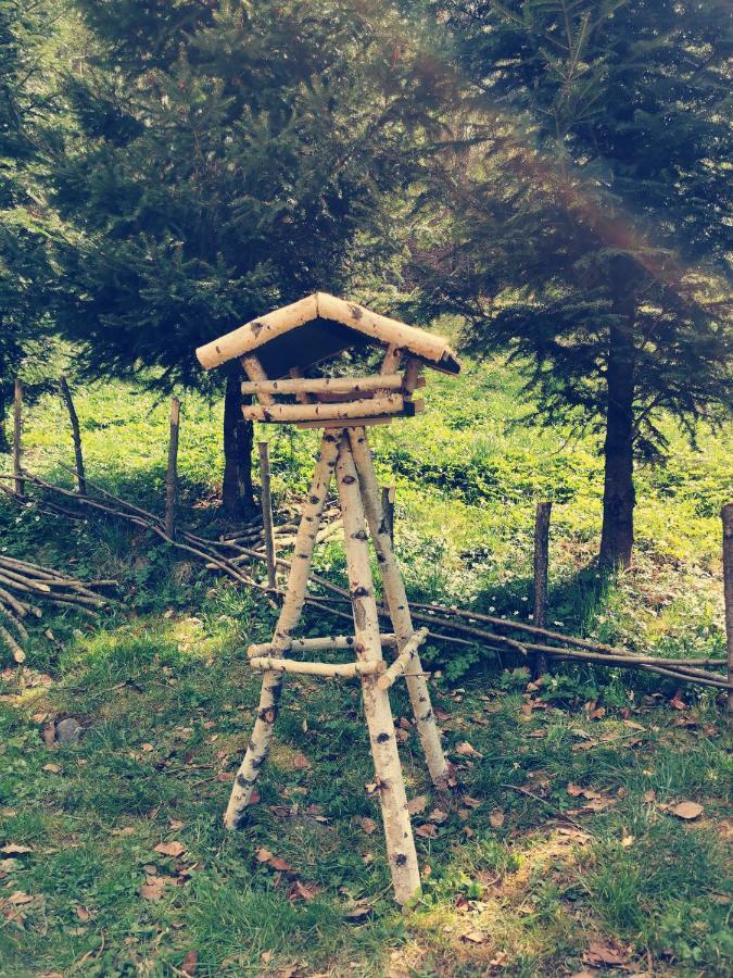 Soho Lodge Rasnov エクステリア 写真