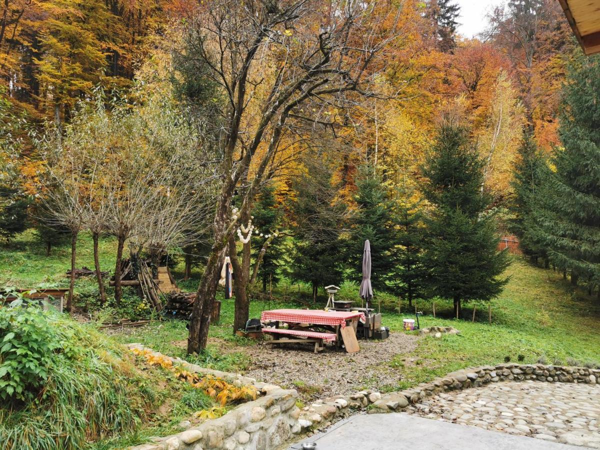 Soho Lodge Rasnov エクステリア 写真