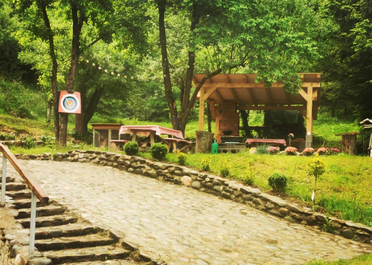 Soho Lodge Rasnov エクステリア 写真