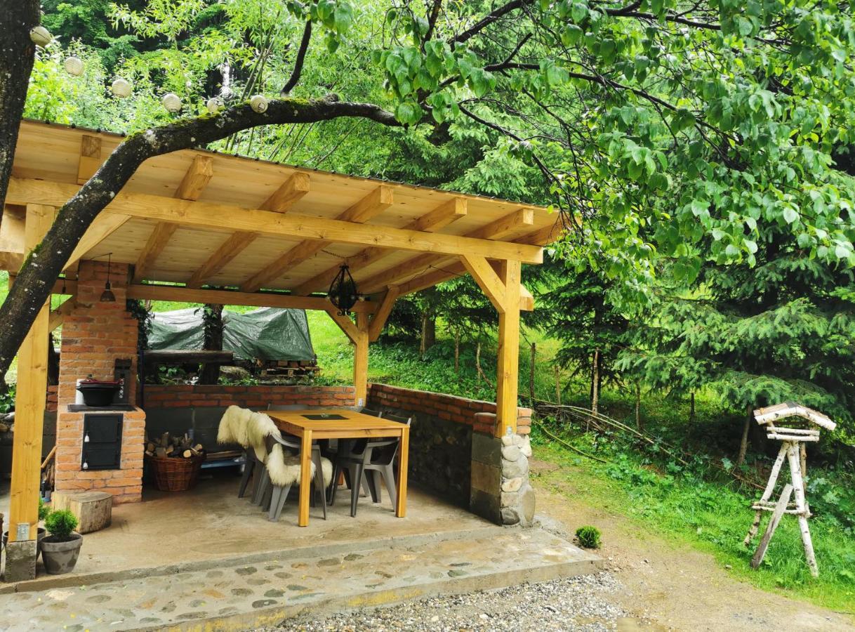 Soho Lodge Rasnov エクステリア 写真