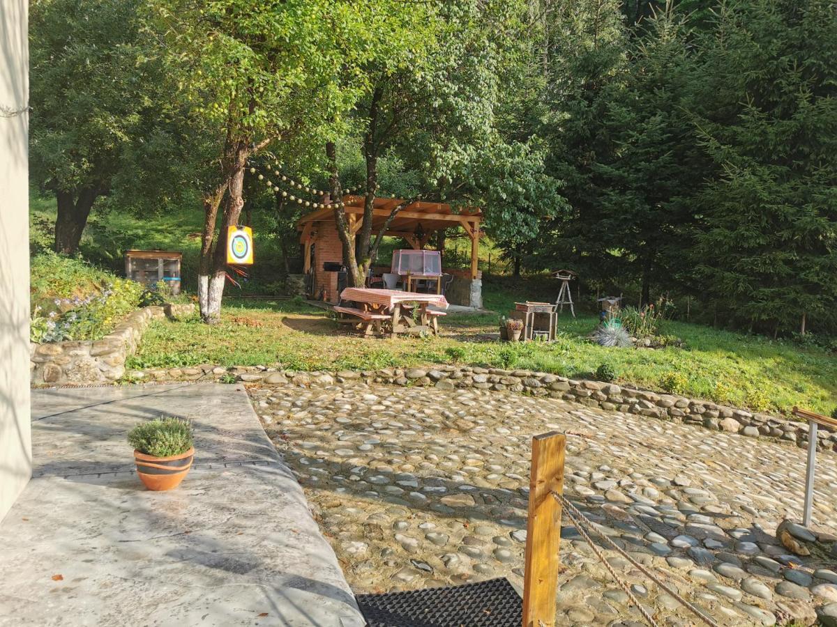 Soho Lodge Rasnov エクステリア 写真
