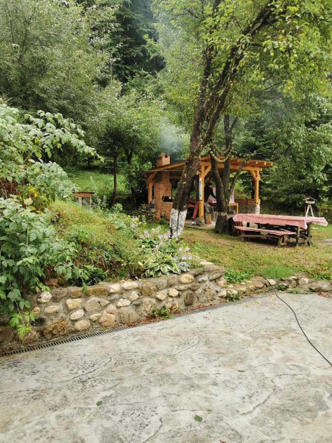 Soho Lodge Rasnov エクステリア 写真