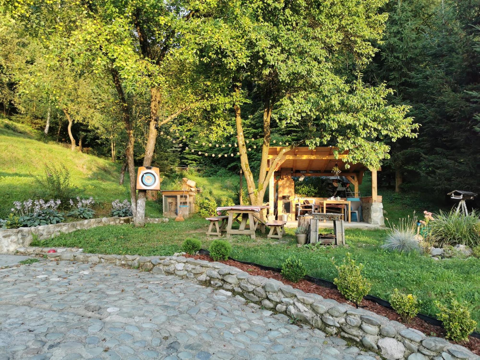 Soho Lodge Rasnov エクステリア 写真